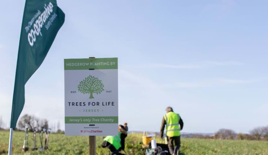 Jersey Trees for Life: Meet the community champion