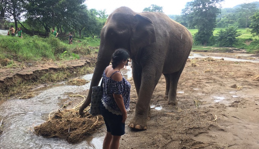 Review: Thailand