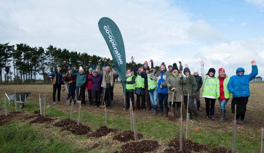 Tree planting with 'Birds on the Edge'