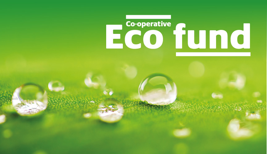 What is the Eco Fund and how does it work?