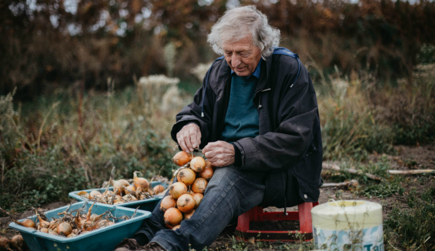 Lloyd Le Gresley stringing onions by hand