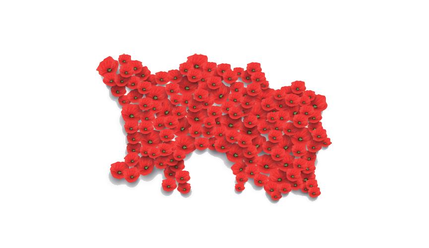 Society to recycle poppies for Royal British Legion
