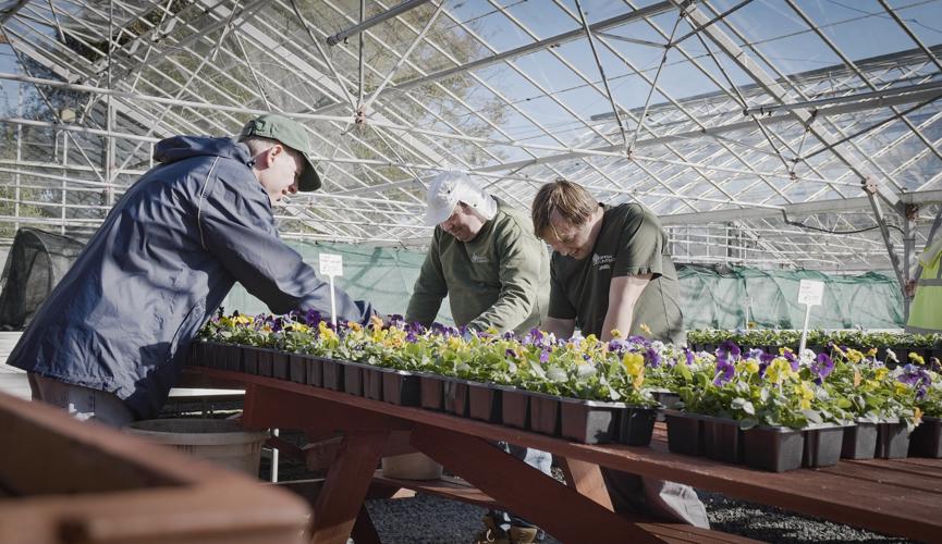 Giving a Helping Hand to GROW