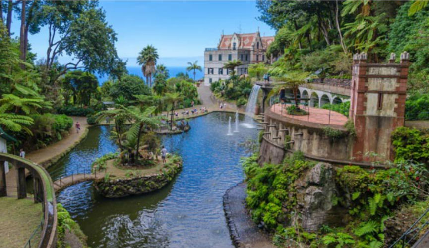 February Half Term Offers to Madeira