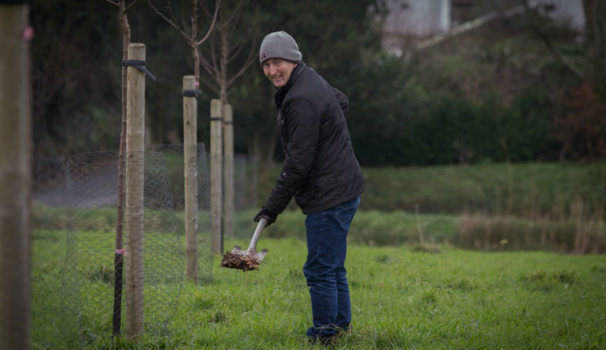 Guernsey Trees for Life