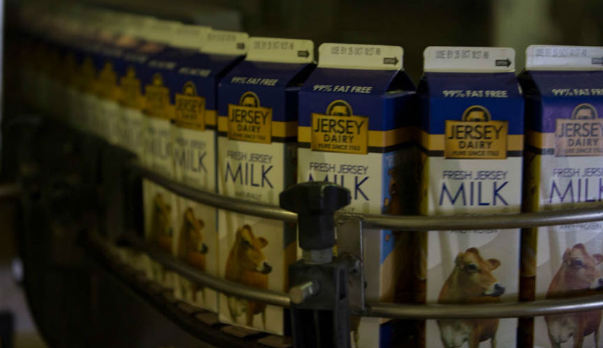 Jersey Dairy