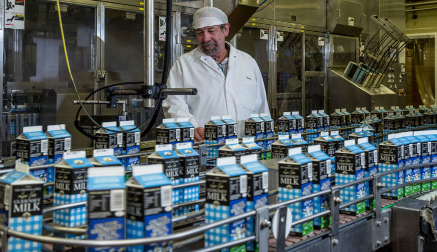 Guernsey Dairy