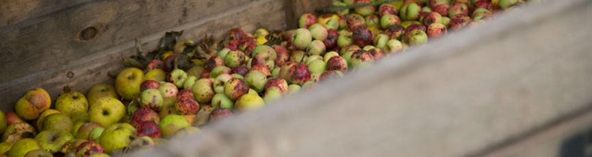 Fresh Farm Organics