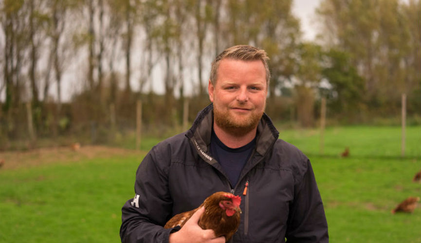 Happy Hens