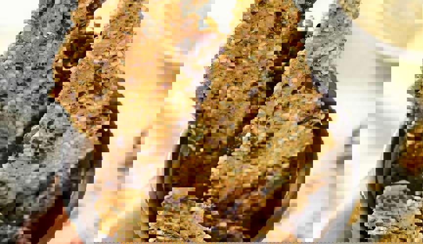 Module - Seeded Crackers
