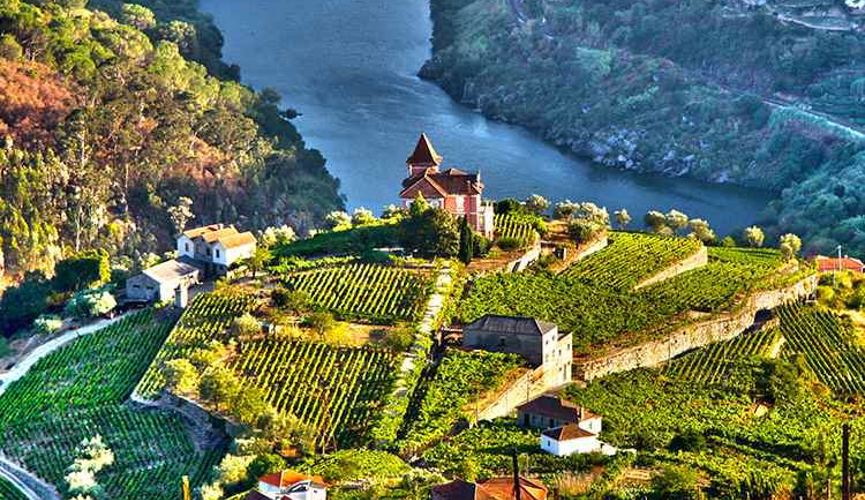 Module - Enticing Douro (2020)