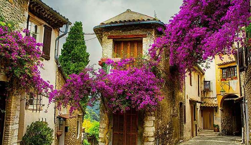 Module - Colours of Provence (2020)