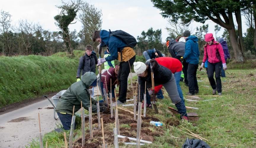 Help us plant 100 trees and shrubs and make a lasting impact on our local environment