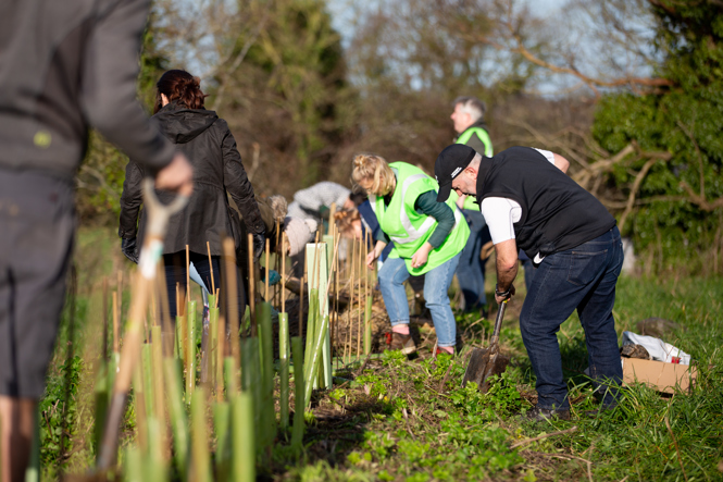 Co-op colleagues and members planting trees in Grouville.