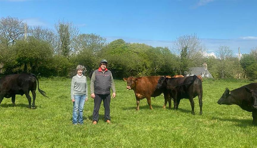 Support local. Buy Jersey beef.