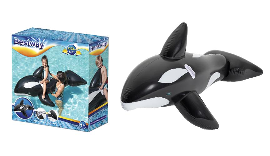 Whale ride on