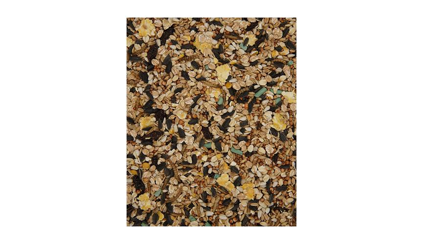 Henry Bell Songbird Blend 1.8Kg