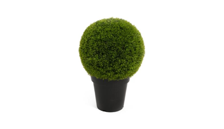 Henry Bell 51cm cypress ball in pot green