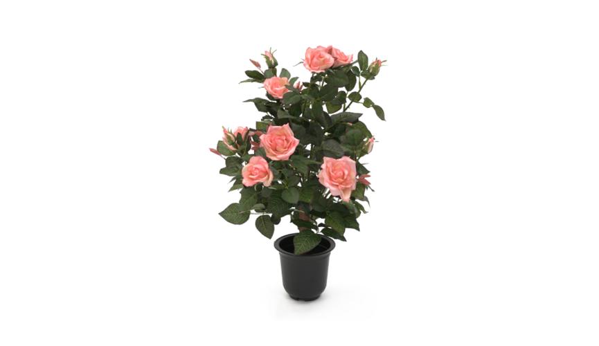 Henry Bell 55cm rose pink