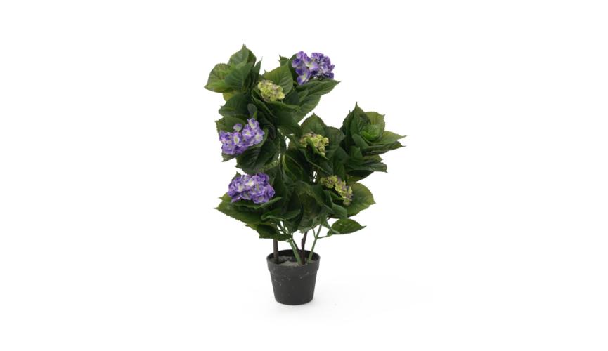 Henry Bell 70cm hydrangea lilac