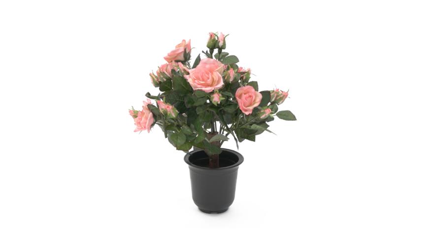 Henry Bell 40cm rose pink