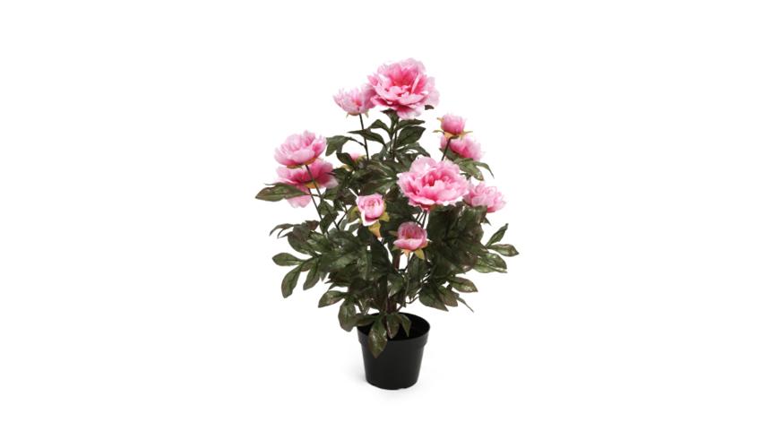 Henry Bell 55cm rose pink