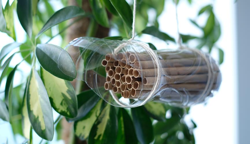 Module - Make your own bee hotel