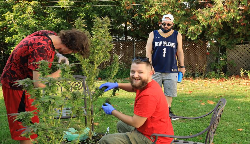 Support another pollinator patch