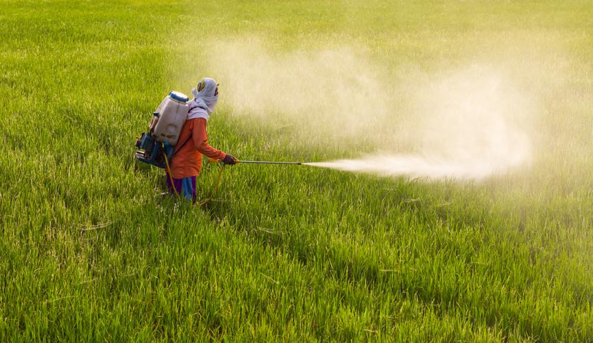 Keep away from any pesticides or chemicals