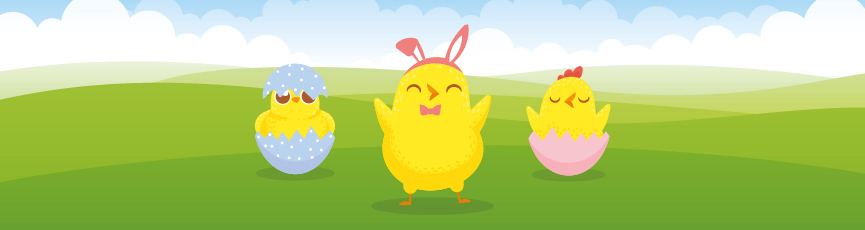 The chicks have escaped the Coop