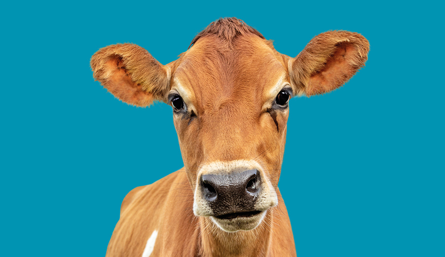 Legendairy