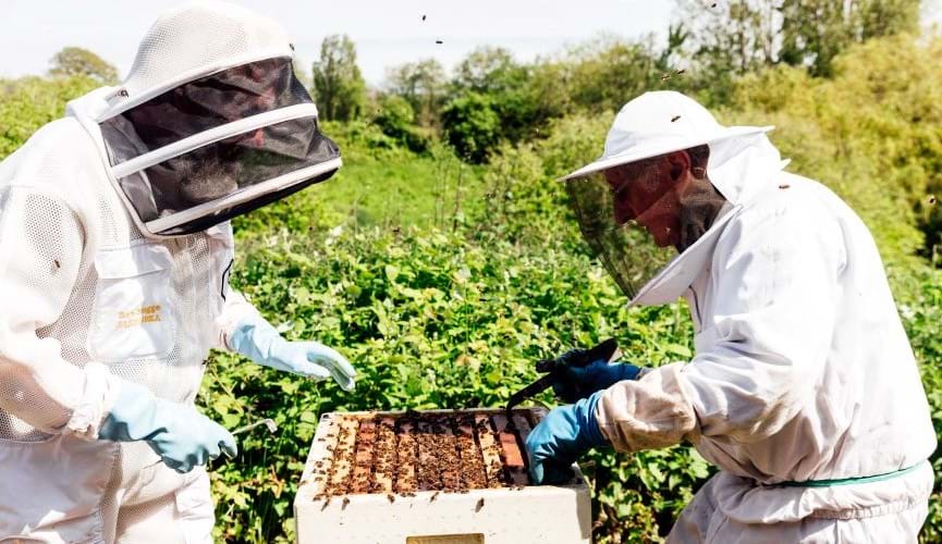 Supporting the Jersey Beekeepers Association