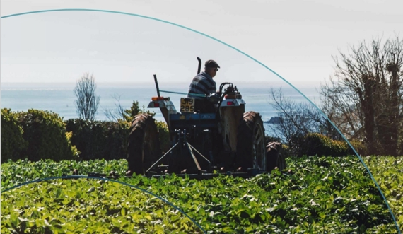 Sustainability half year update report 2025