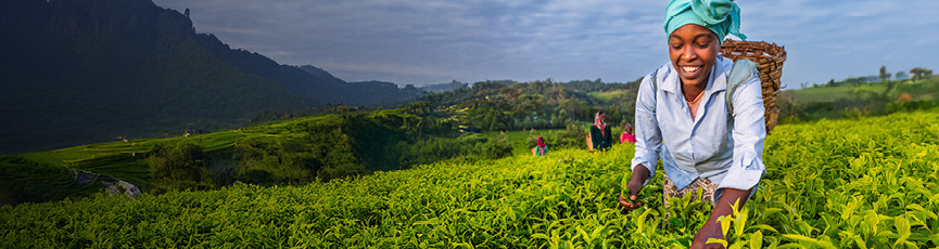 Fairtrade